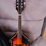 Mandolin Image 2