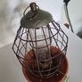 bird feeder Image 2