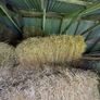 Square bales Image 3