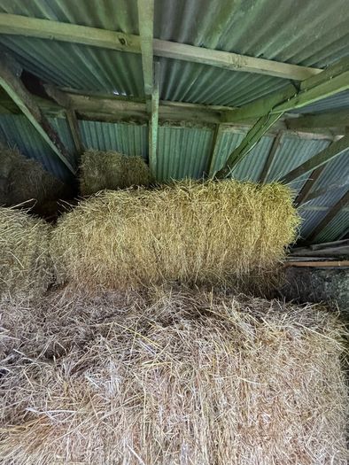 Square bales