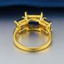 Ring Image 2