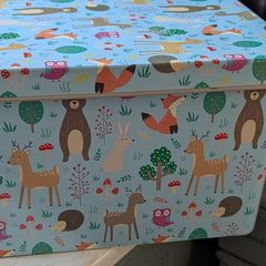 Cute Storage Boxes Set (2 Pieces)