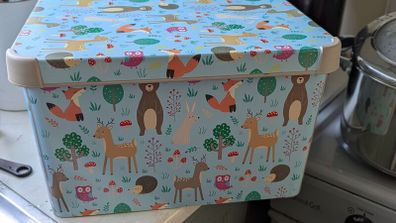 Cute Storage Boxes Set (2 Pieces)