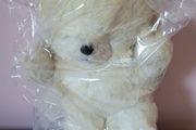 Old Style White Teddy Bear