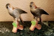 Vintage pair of birds
