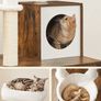 New 2 in 1 Cat Play Area - FREE Delivery Image 6