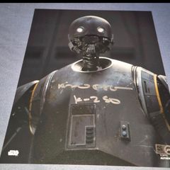 Star Wars Rogue One K-2SO