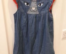 Pumpkin Patch girls dress