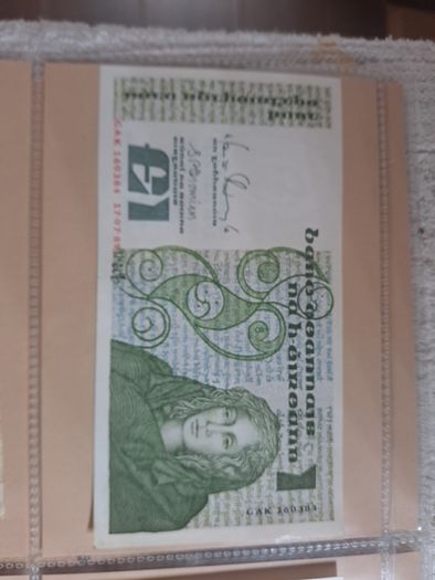 2 consecutive numbered Punt notes.