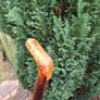 blackthorn walking stick Image 4