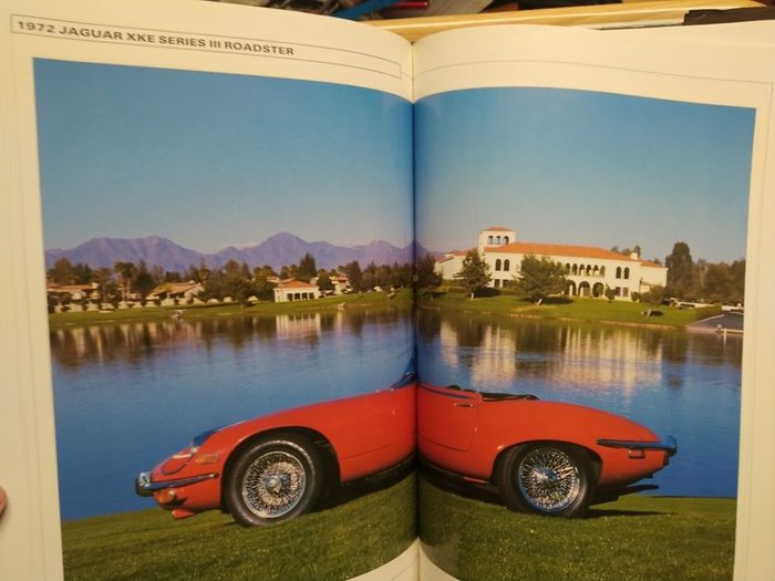 Jaguar: The Enduring Legacy