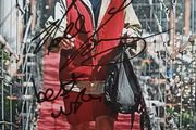 Noel Edmonds signed photo