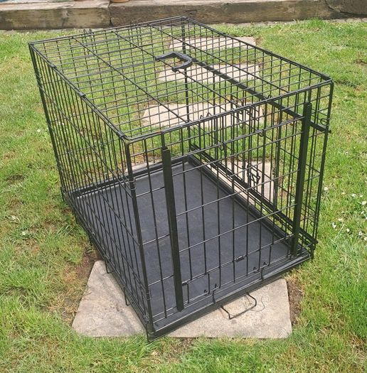 Dog Crate