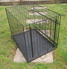Dog Crate