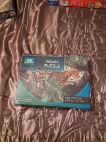 Jigsaw puzzle