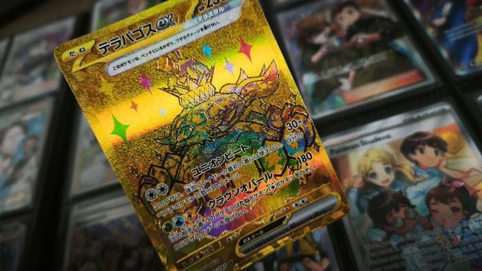 Terapagos EX ! Secret Rare ! from Terastal Festival EX Set ! 2024 ! Japanese Pokemon Card !