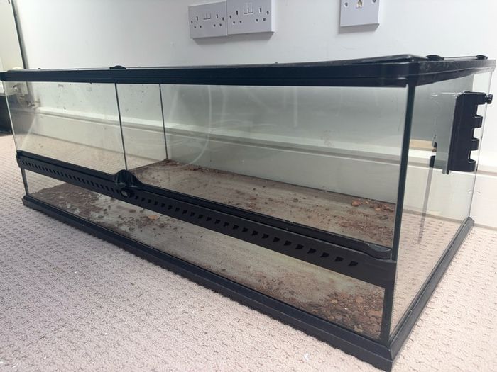 Lizard tank