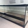 Lizard tank Image 5