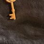 Fossil bag Image 3