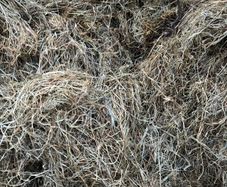 Silage for sale