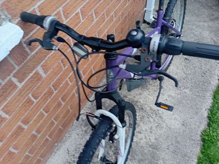 adults mountain bike