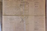 Final Pink Copy - Irish Evening Telegraph