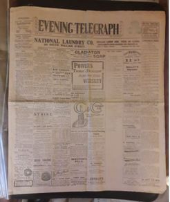 Final Pink Copy - Irish Evening Telegraph