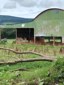 Haybarn 3 span with lean to roof old