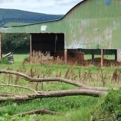 Haybarn 3 span with lean to roof old