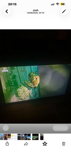 55inch monitor for sale