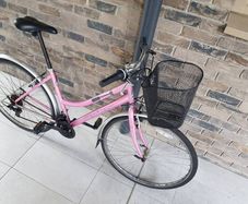 ladies city bike( can deliver)