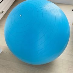 Birthing Ball