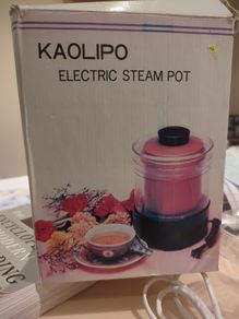 Chinese electric steam pot