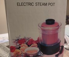 Chinese electric steam pot