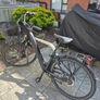Adriatica E1 E-bike 2025 Image 6