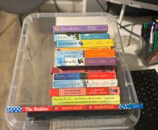 Julia Donaldson books (14)