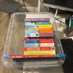 Julia Donaldson books (14)