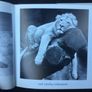 The Blue Day Book. - Reduced Image 3