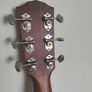 Fender PM-3C all solid mahogany guitar w/case and pickup Image 6