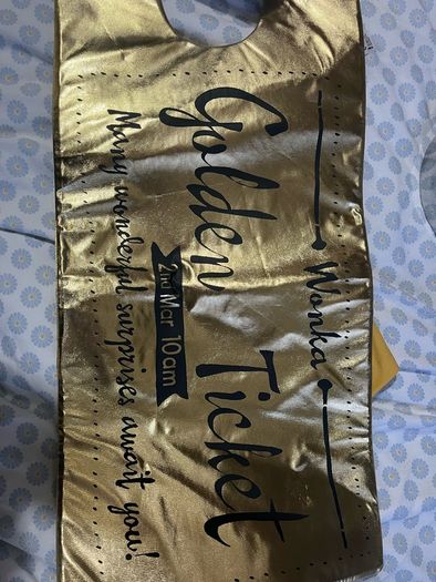 Charlie and choc factory golden ticket costume