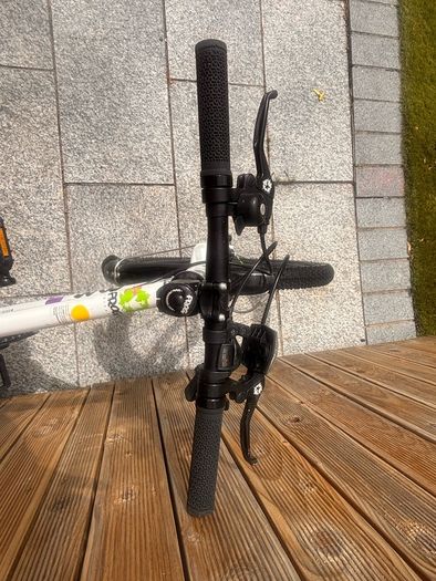 Frog 52 kids bike
