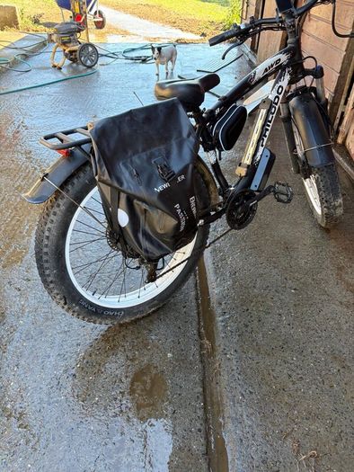 Electric cargo bike