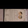 gold coins Image 7