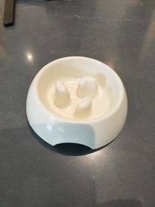dog slow feeder
