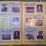 Euro 88 Panini sticker Album Image 3