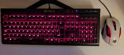 Corsair mechanical keyboard & Roccat gaming Mouse