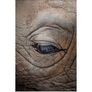 Fine Art Photography Gift Card Image 5