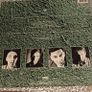 Stump, A Fierce Pancake LP w/inner, Irish Indie, German press Image 2