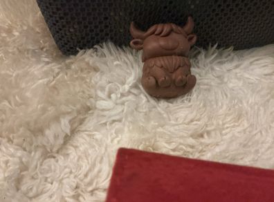 toy