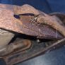 Wood Plane Image 5